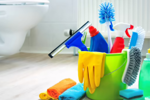Messie Reinigung Wittenberg